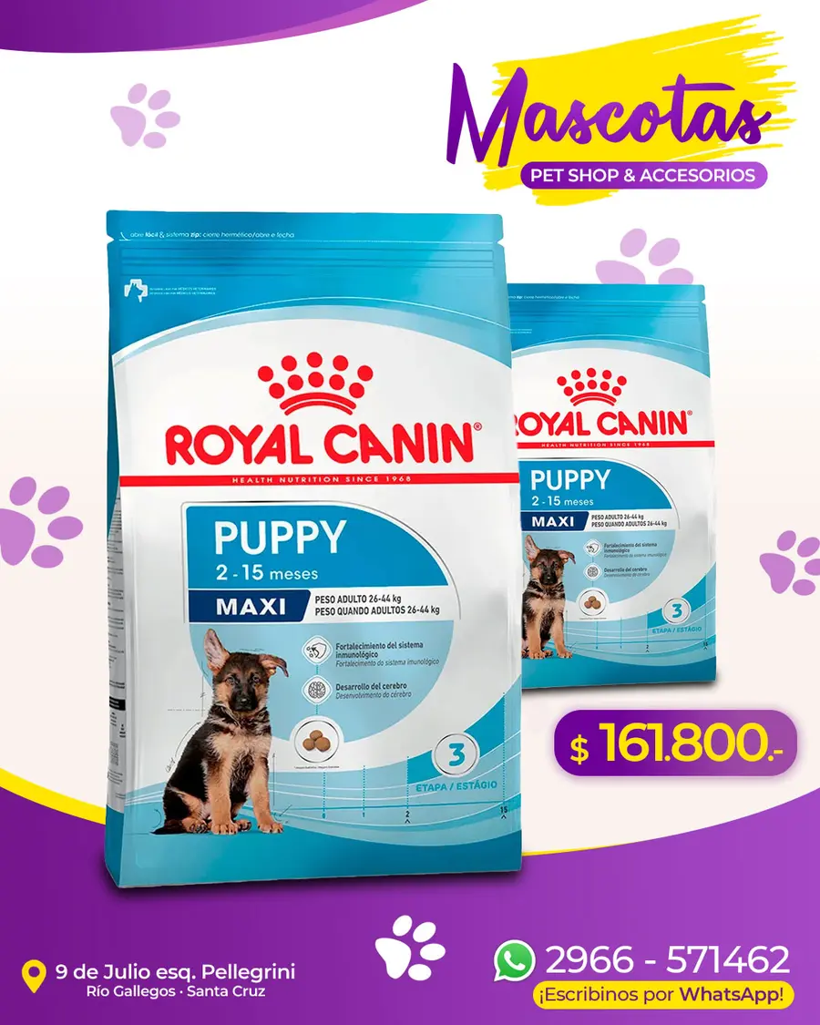 Flyer de Mascotas Pet Shop