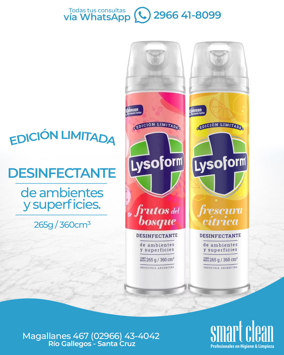 Flyer de Smart Clean